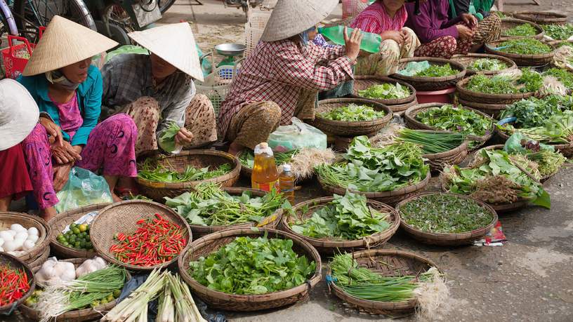 Kleurrijke ochtendmarkt Hoi An