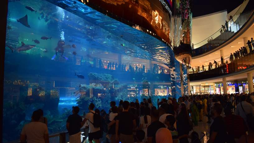 Dubai Aquarium in de Dubai Mall