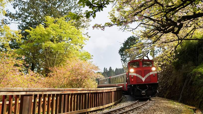 De trein bij Alishan