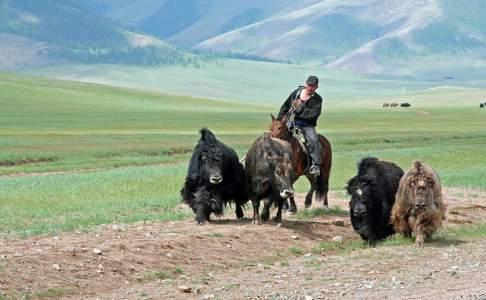 Mongolië, land van nomaden