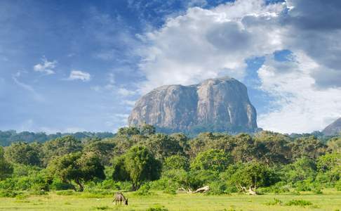 Uitzicht op de rots van Sigiriya