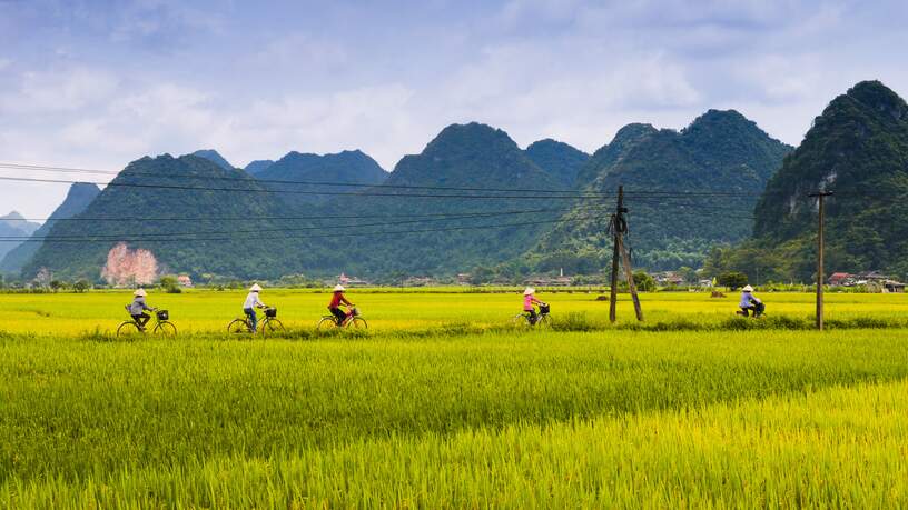 Fietsen door de rijstvelden bij Ninh Binh