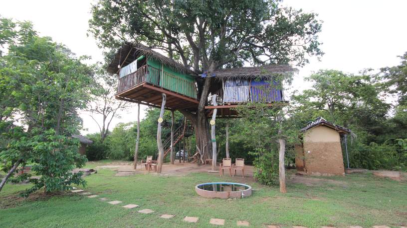 De Elephant Watch Hut in Habarana