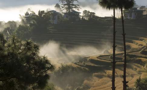 Ochtendsfeer bij Wangdue