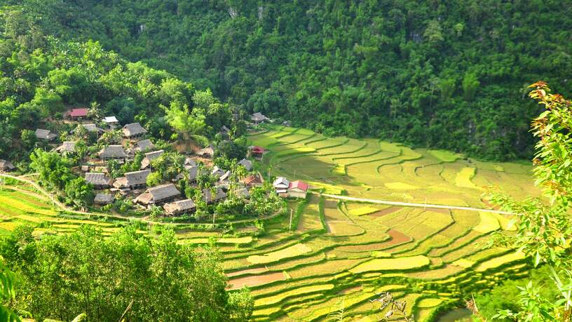 Puluong National Park