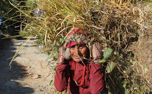 Pokhara, trekking