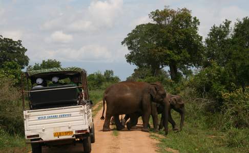 Olifanten spotten tijdens een jeepsafari