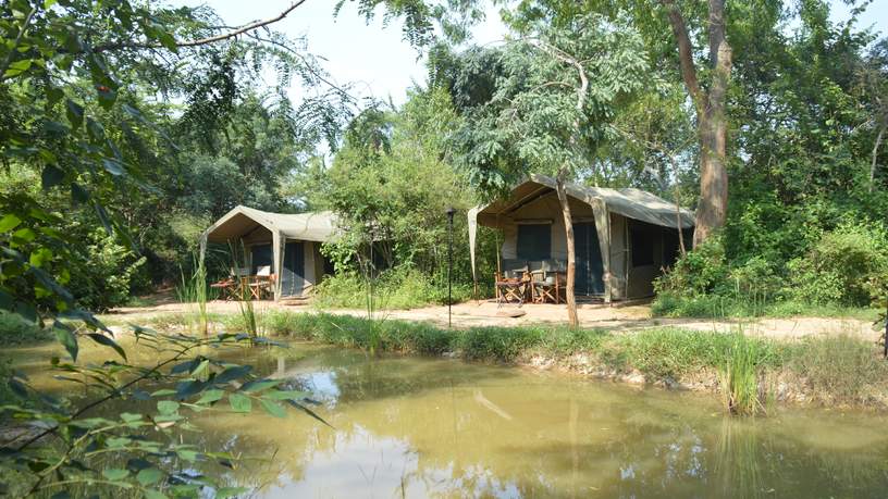 Safarikamp in het Yala National Park