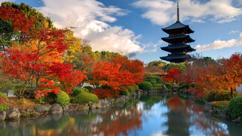 Herfstkleuren bij de Toji Tempel, Nara