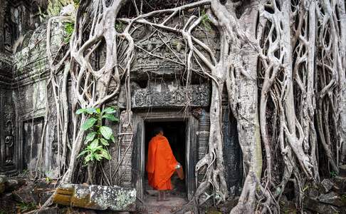 De jungle tempel Ta Prohm