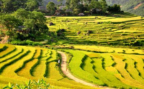 Puluong National Park