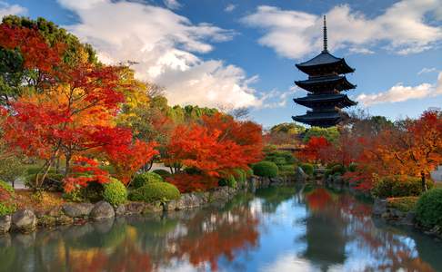 Herfstkleuren bij de Toji Tempel, Nara