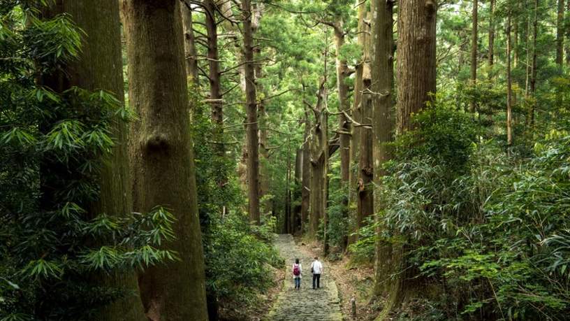Pelgrimsroute Kumano kodo, Japan.